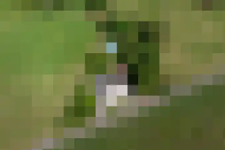 Wittenbergsweg 3 Wesepe thumbnail 8