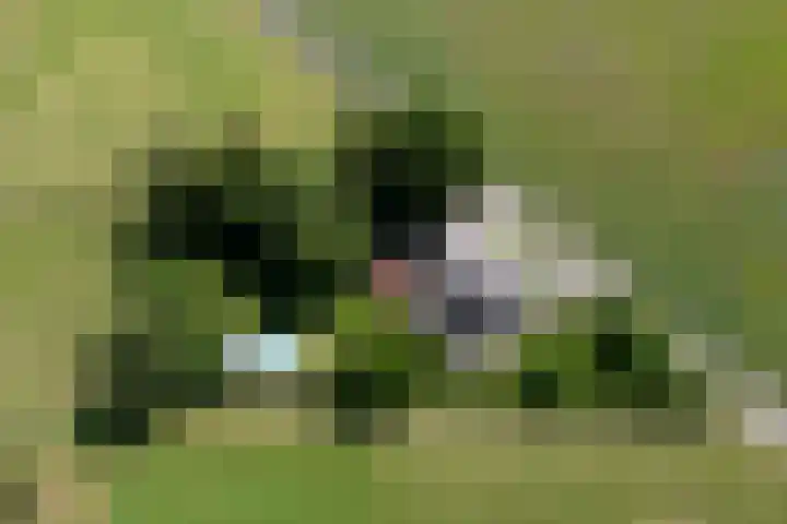 Wittenbergsweg 3 Wesepe thumbnail 9