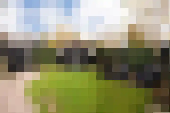 Wittenburg 112 Nijkerk thumbnail 51