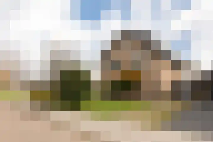Wittenburg 112 Nijkerk thumbnail 61