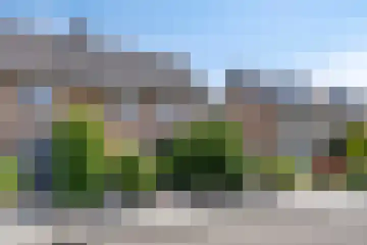 Wittenburg 118 Nijkerk thumbnail 5