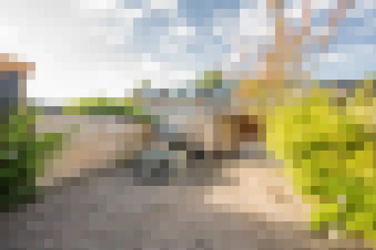 Wittenburg 141 Nijkerk thumbnail 30