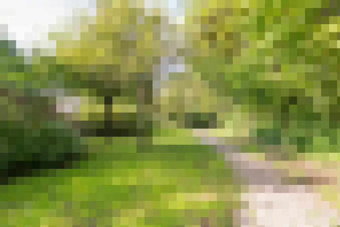 Wittenburg 141 Nijkerk thumbnail 41