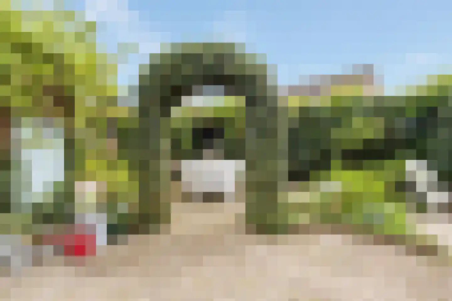 Wittenburg 147 Nijkerk thumbnail 32