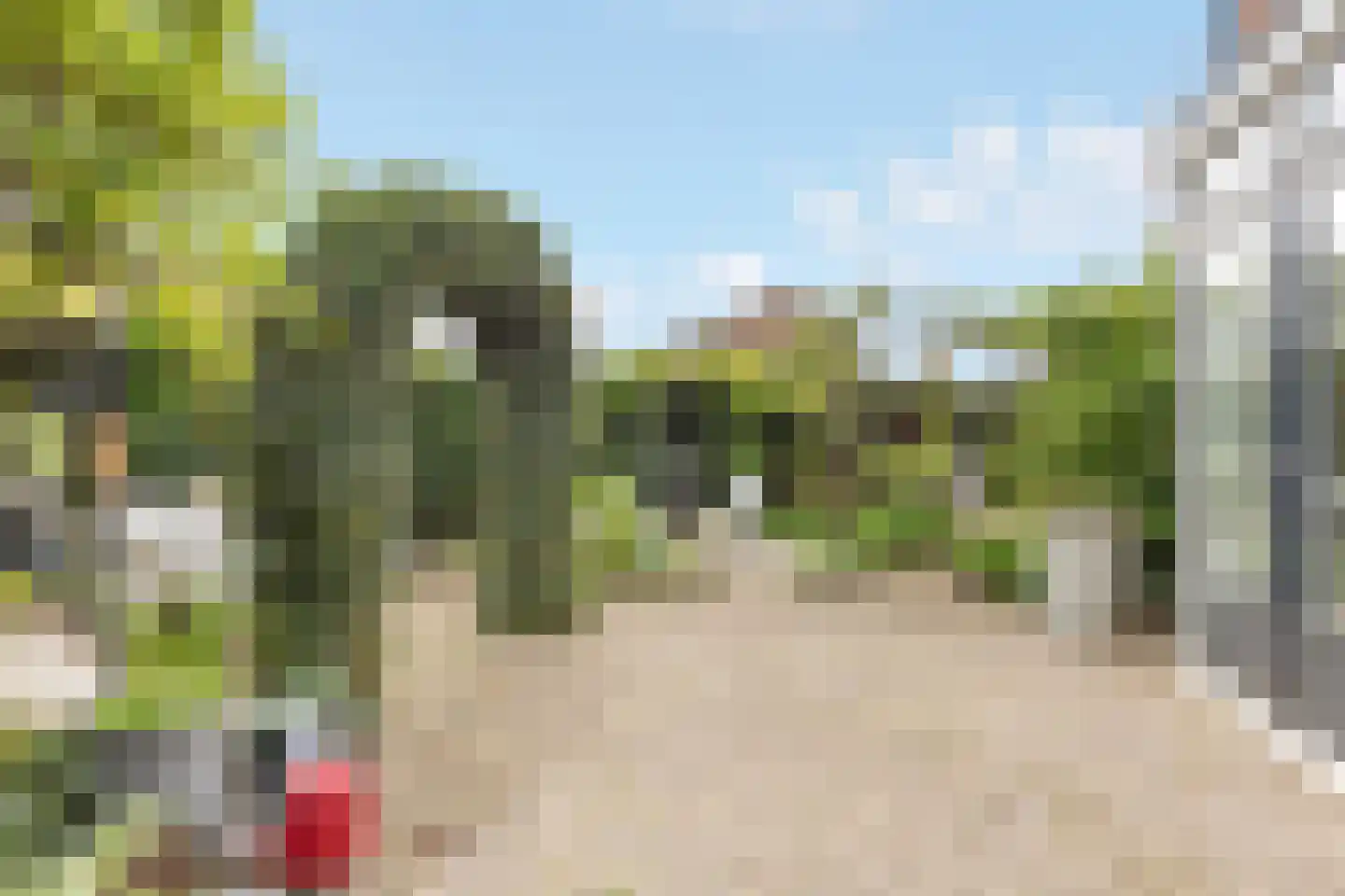 Wittenburg 147 Nijkerk thumbnail 35