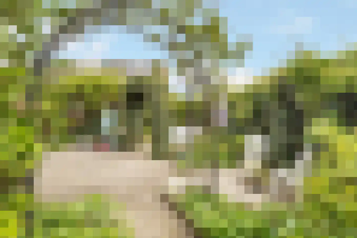 Wittenburg 147 Nijkerk thumbnail 37