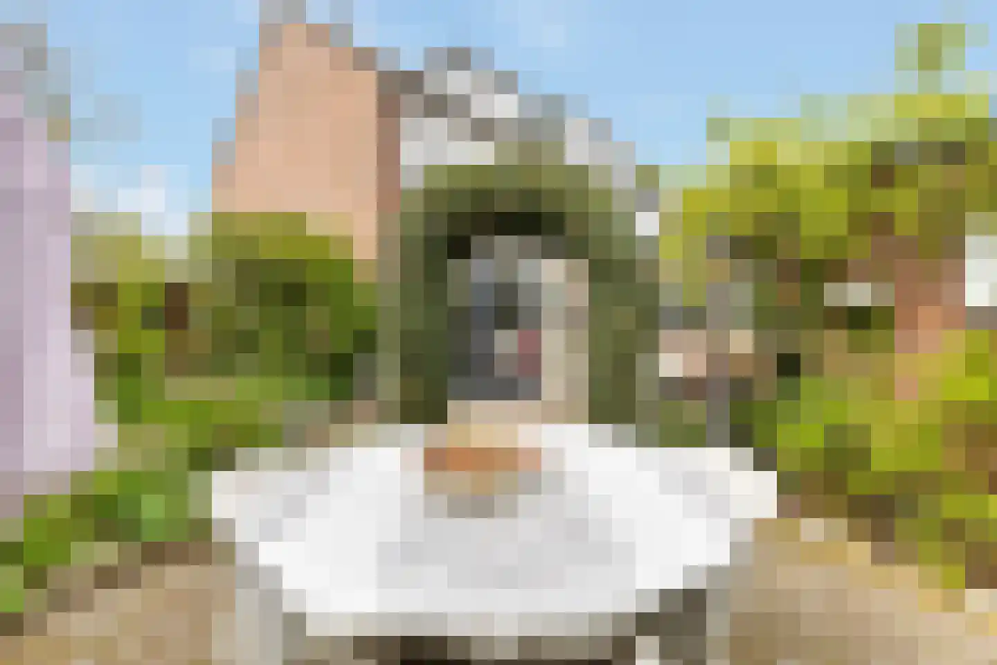 Wittenburg 147 Nijkerk thumbnail 38