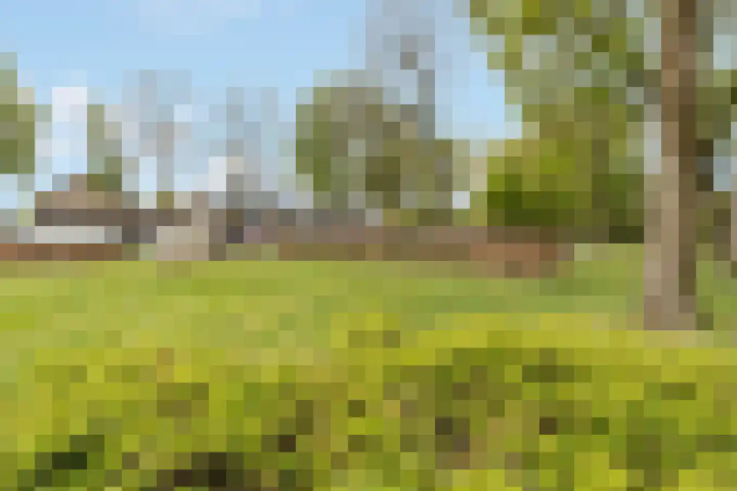 Wittenburg 147 Nijkerk thumbnail 39