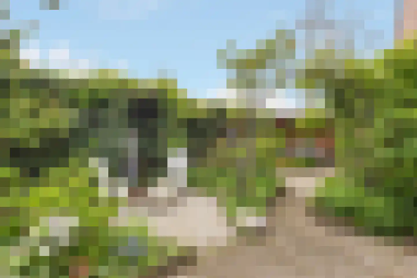 Wittenburg 147 Nijkerk thumbnail 5