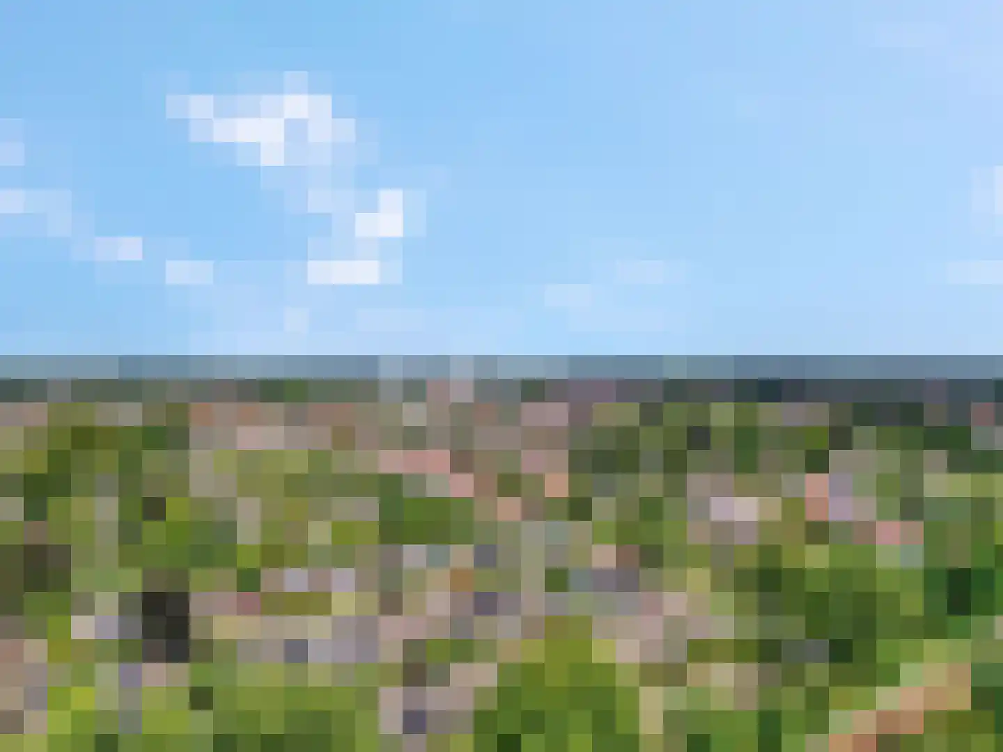 Wittenburg 165 Nijkerk thumbnail 36