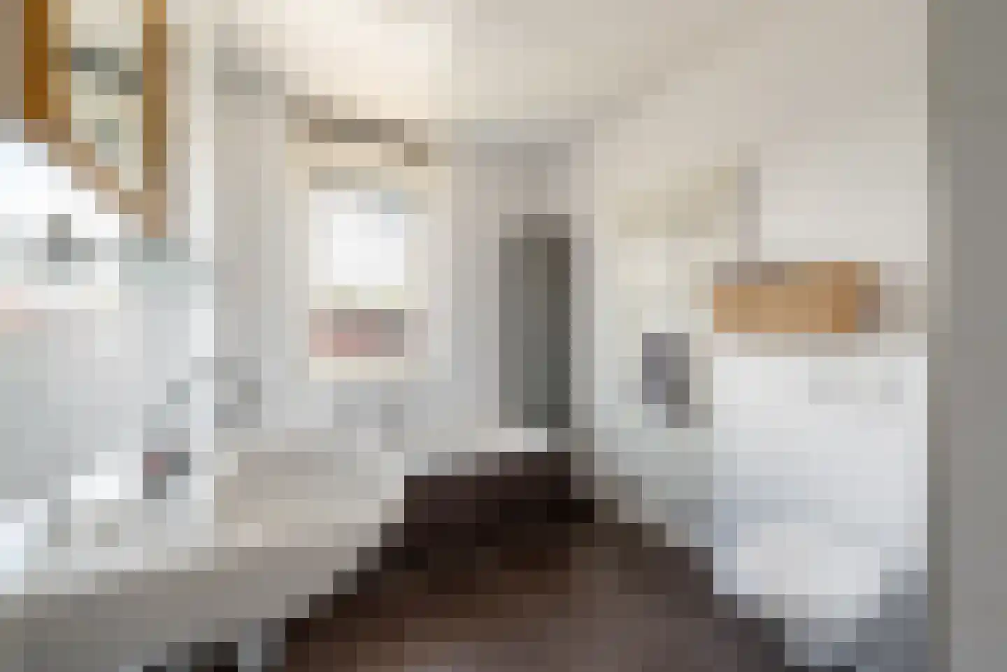 Wittenburg 17 Hoofddorp thumbnail 15