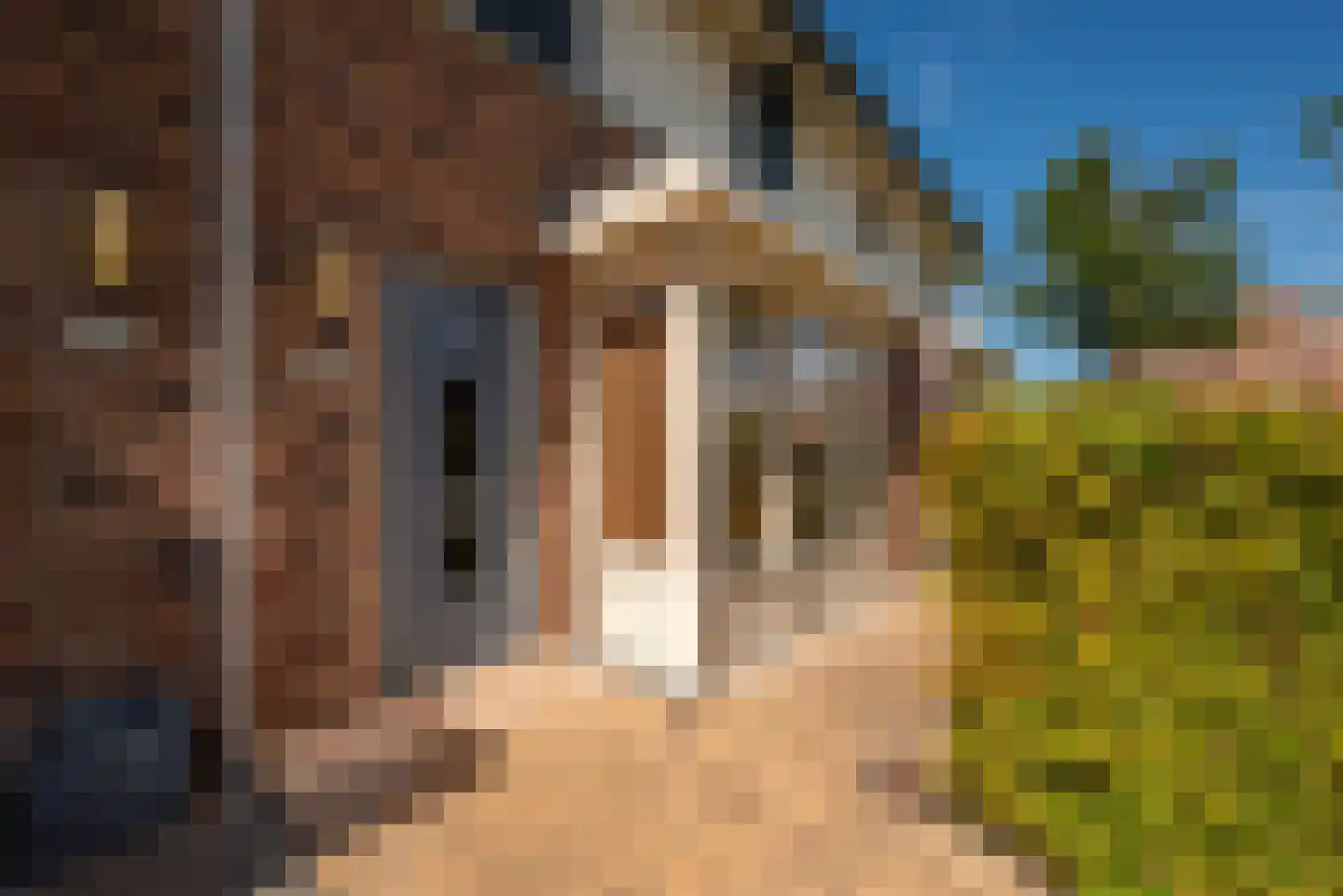Wittenburg 17 Hoofddorp thumbnail 24