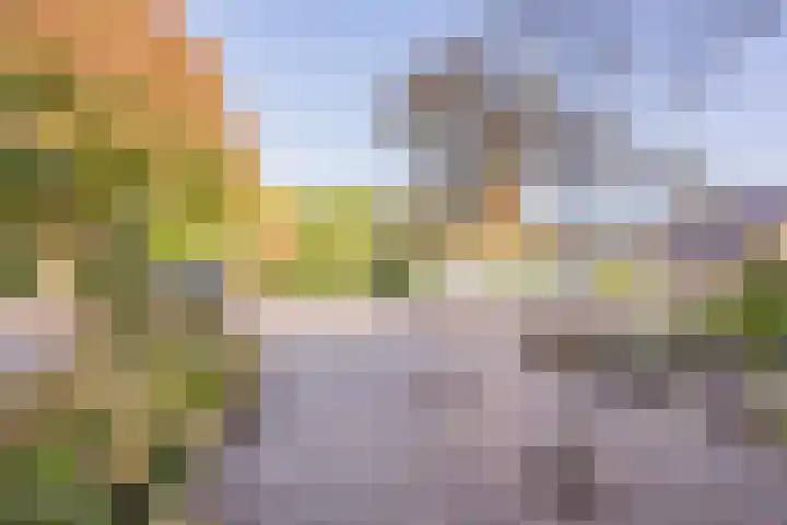Wittenburg 18 Nijkerk thumbnail 31