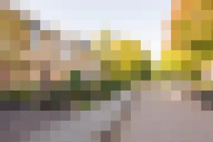 Wittenburg 18 Nijkerk thumbnail 33