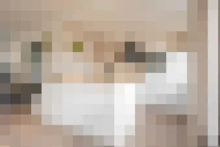 Wittenburg 18 Nijkerk thumbnail 5