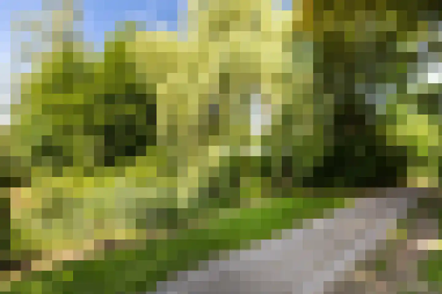Wittenburg 19 Nijkerk thumbnail 21