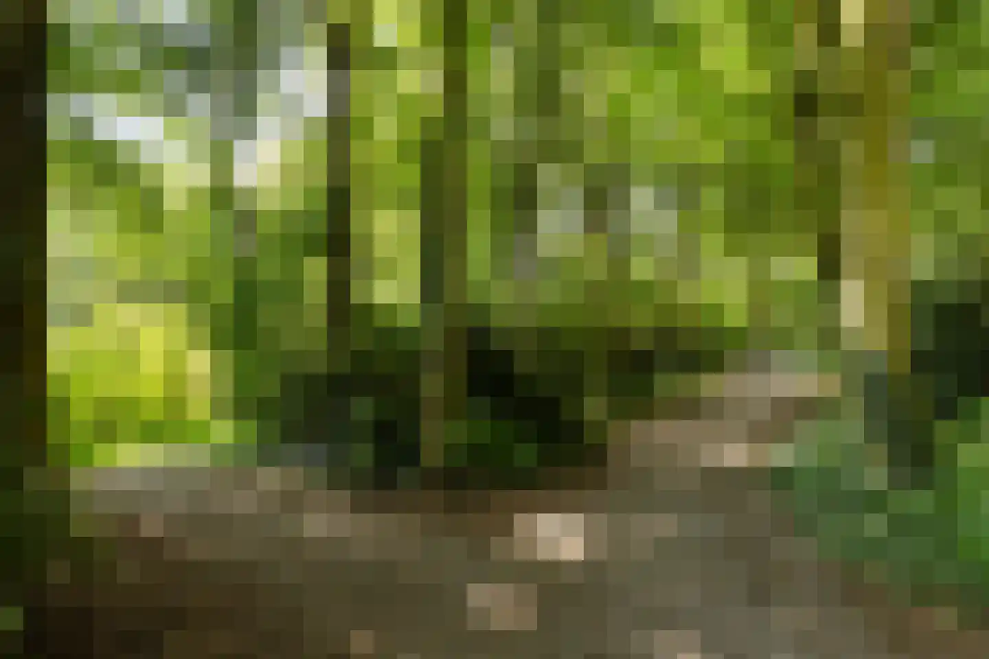 Wittenburg 19 Nijkerk thumbnail 22