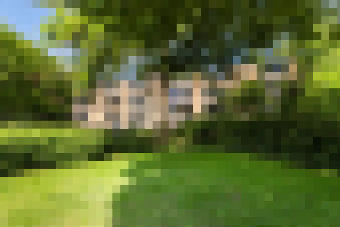 Wittenburg 19 Nijkerk thumbnail 5