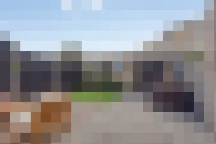 Wittenburg 20 Nijkerk thumbnail 27