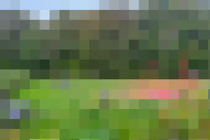 Wittenburg 20 Nijkerk thumbnail 32
