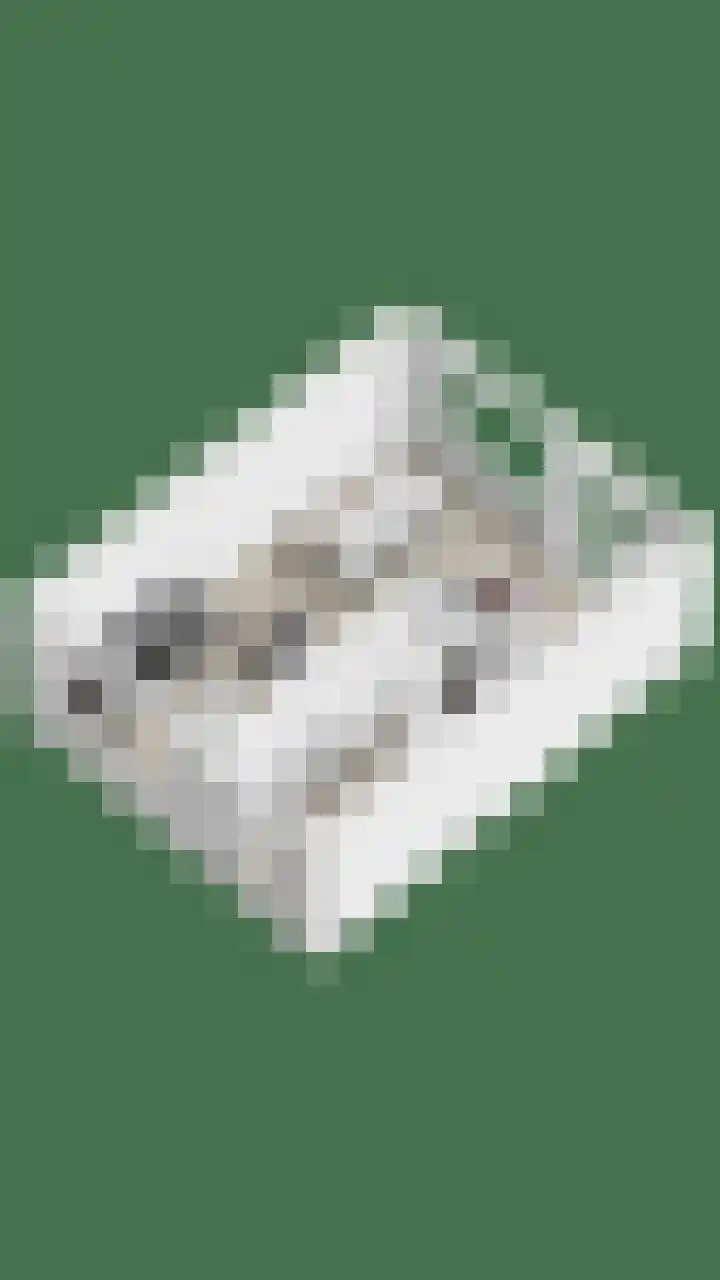 Wittenburg 20 Nijkerk thumbnail 34