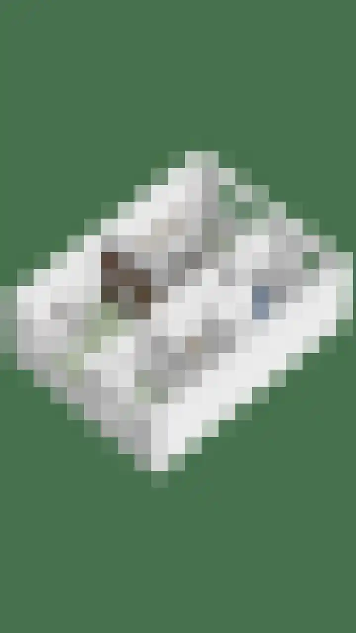 Wittenburg 20 Nijkerk thumbnail 35