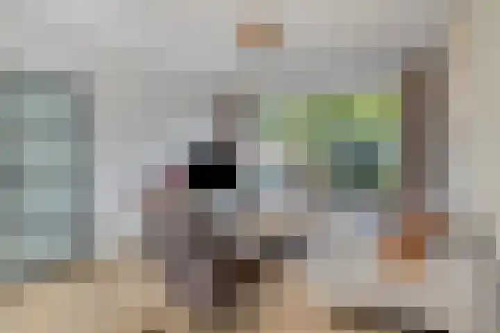 Wittenburg 20 Nijkerk thumbnail 6