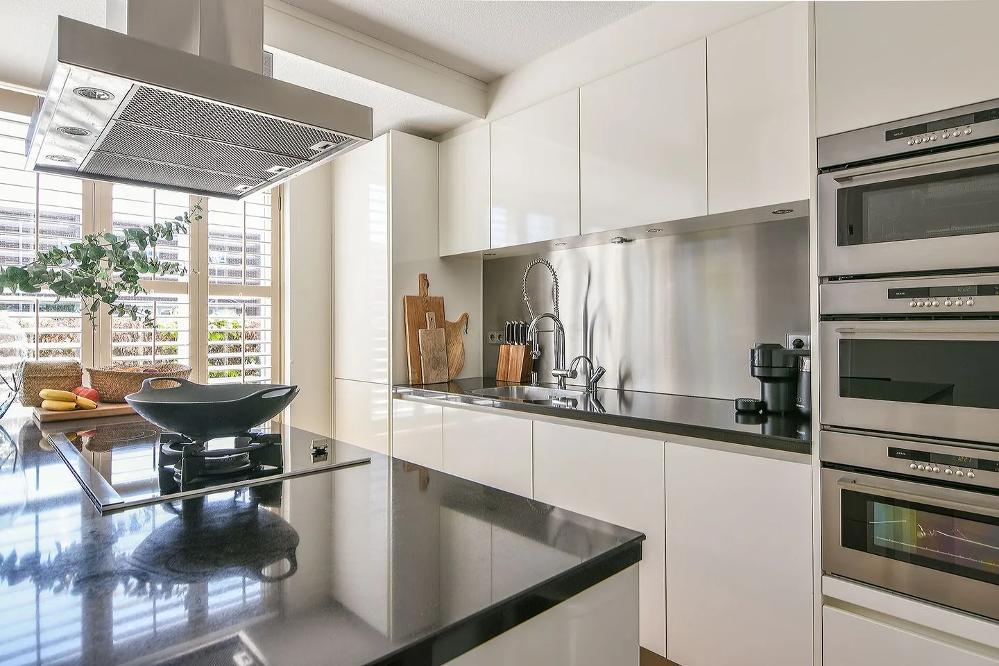 Wittenburg 31 Hoofddorp thumbnail 9