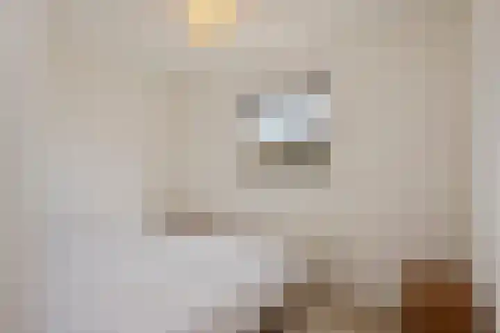 Wittenburg 42 Hoofddorp thumbnail 10