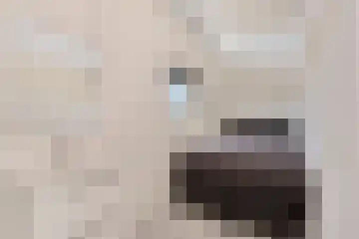 Wittenburg 42 Hoofddorp thumbnail 18