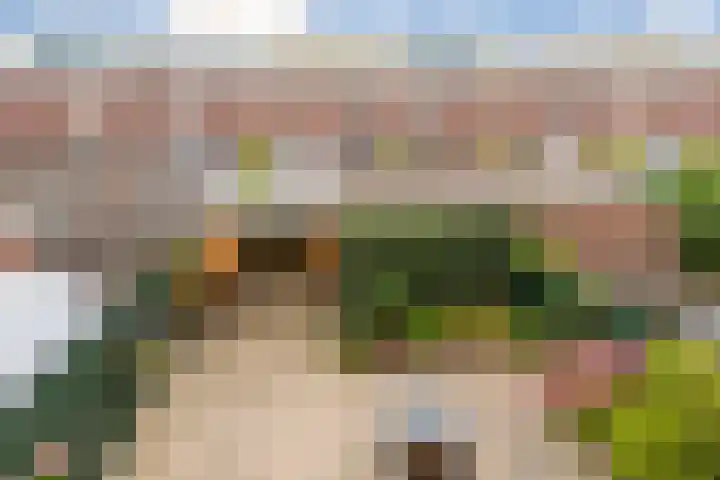 Wittenburg 42 Hoofddorp thumbnail 19