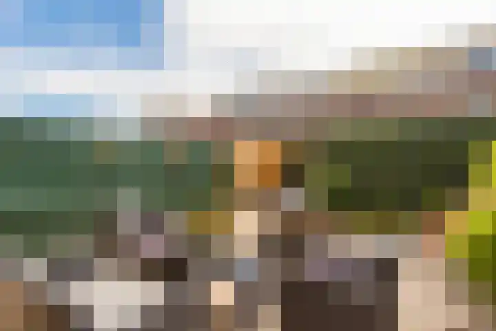 Wittenburg 42 Hoofddorp thumbnail 20