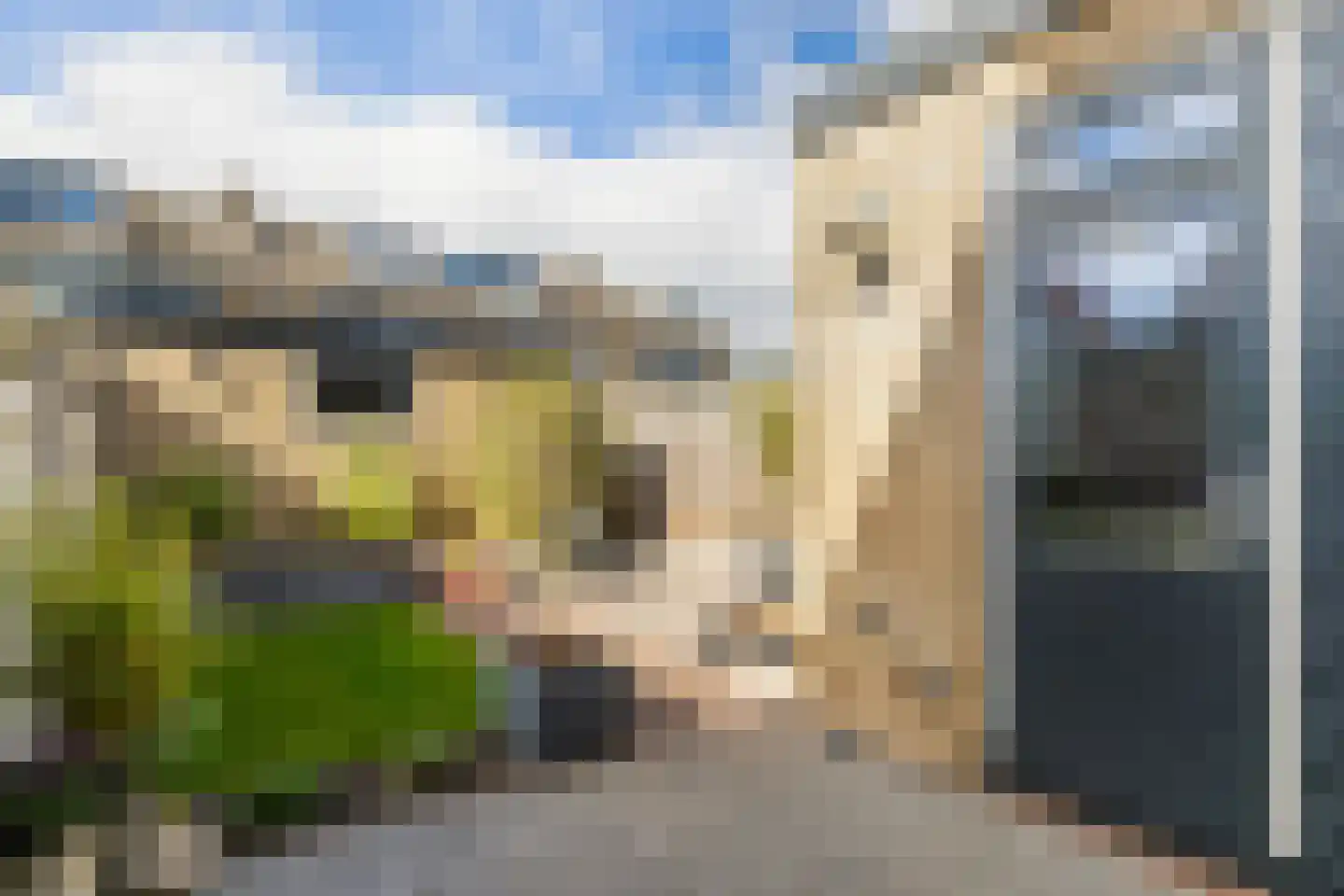 Wittenburg 43 Nijkerk thumbnail 4