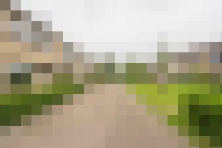 Wittenburg 45 Nijkerk thumbnail 5