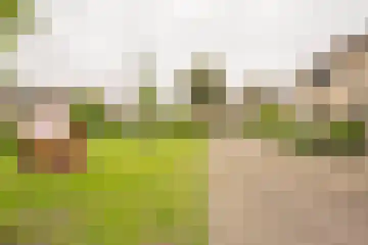 Wittenburg 45 Nijkerk thumbnail 6