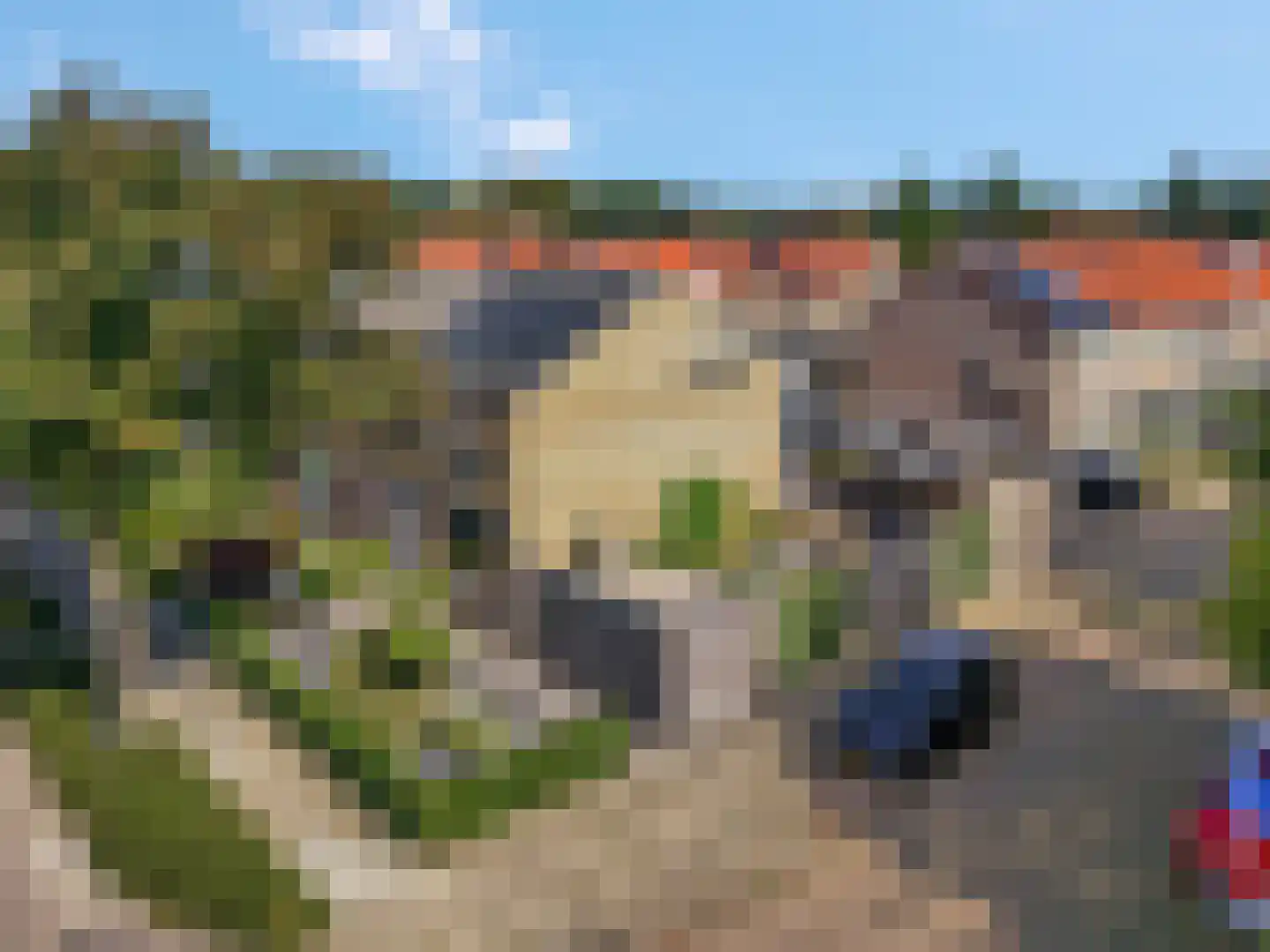 Wittenburg 70 Nijkerk thumbnail 47