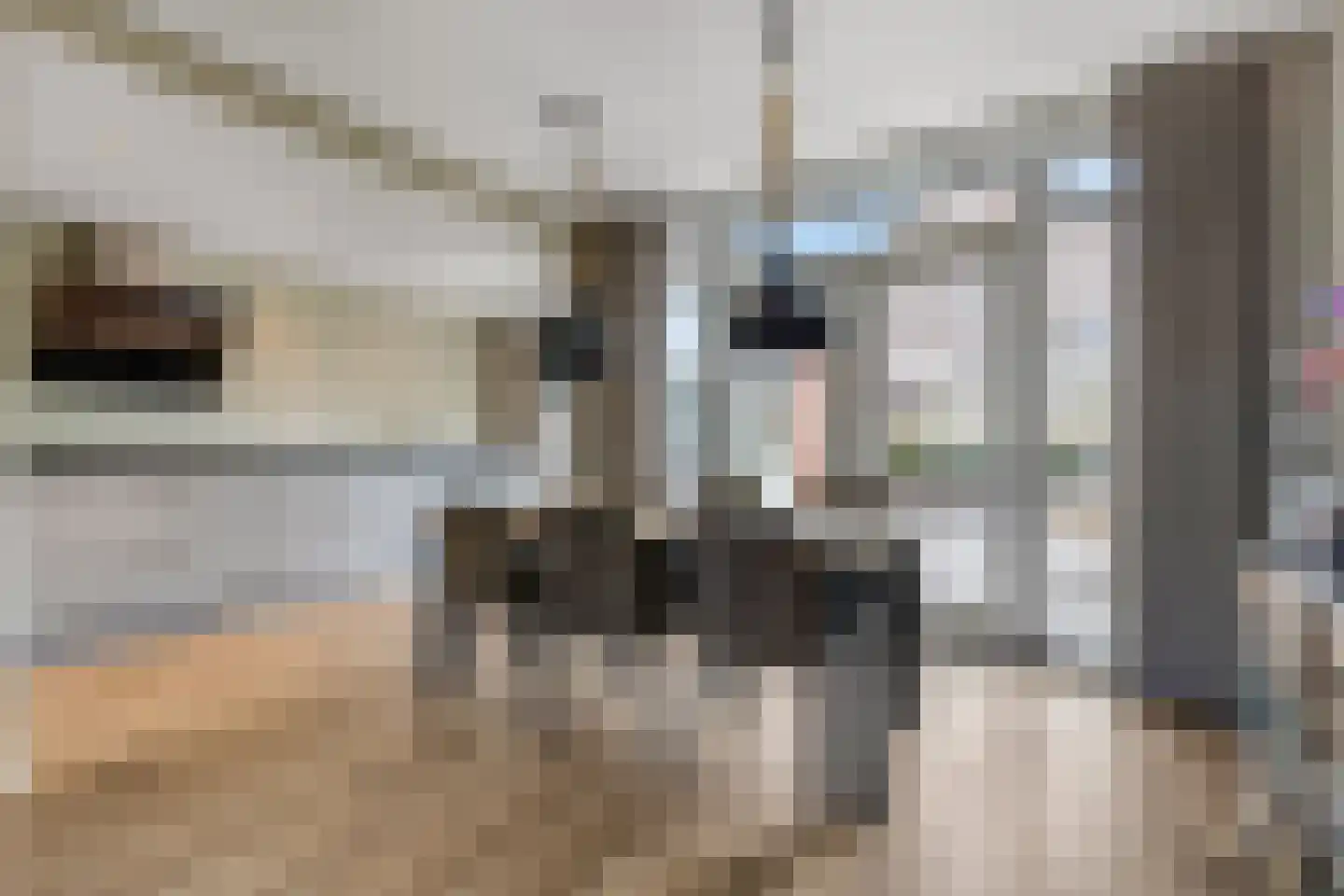 Wittenburg 70 Nijkerk thumbnail 7