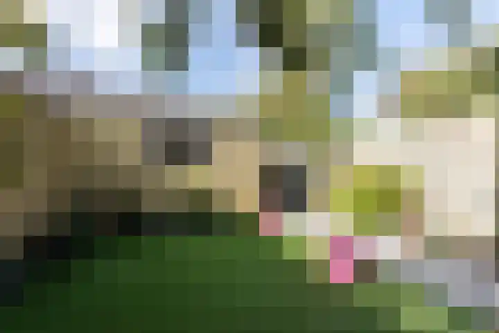 Wittenburg 71 Nijkerk thumbnail 37