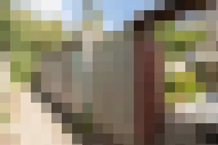 Wittenburg 71 Nijkerk thumbnail 41