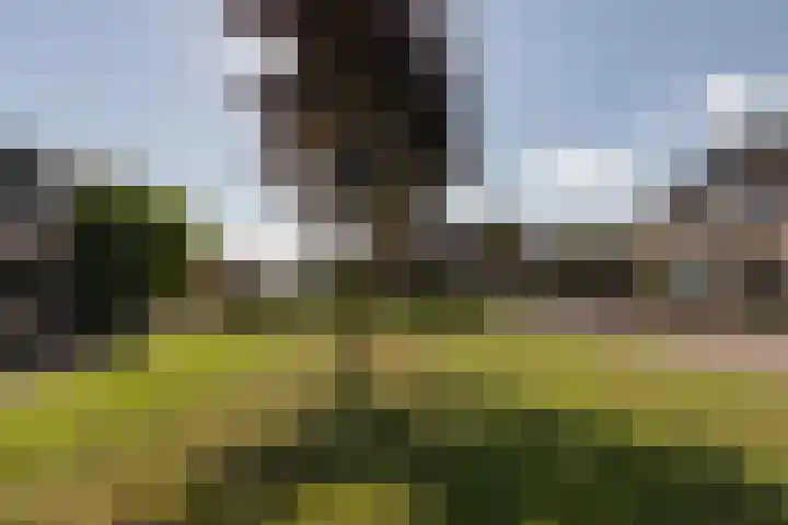 Wittenburg 71 Nijkerk thumbnail 44