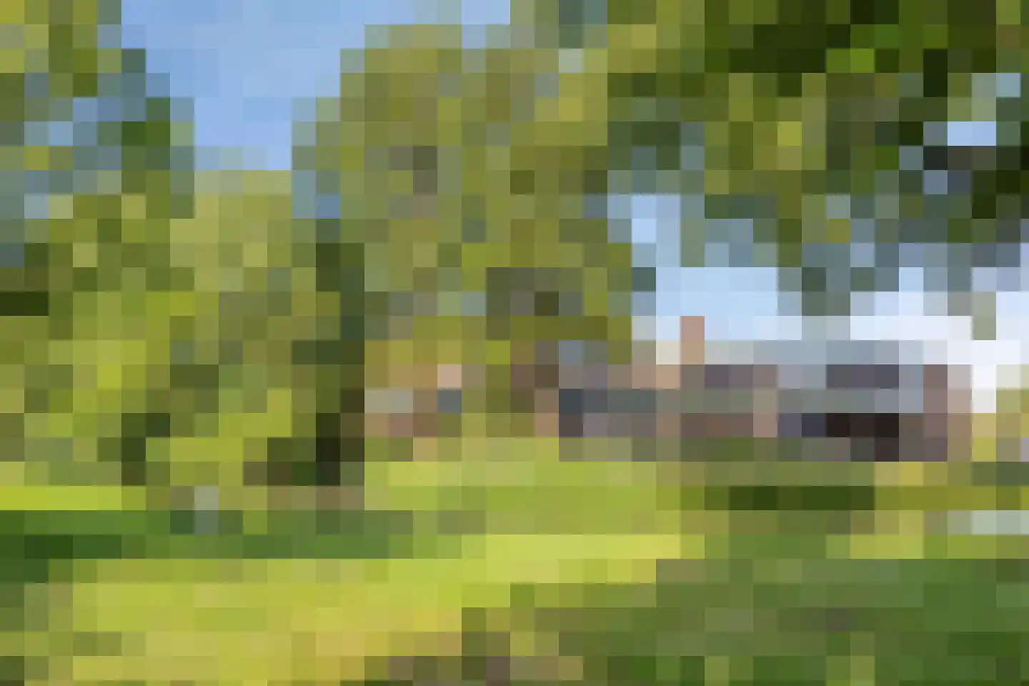 Wittenburg 85 Nijkerk thumbnail 42