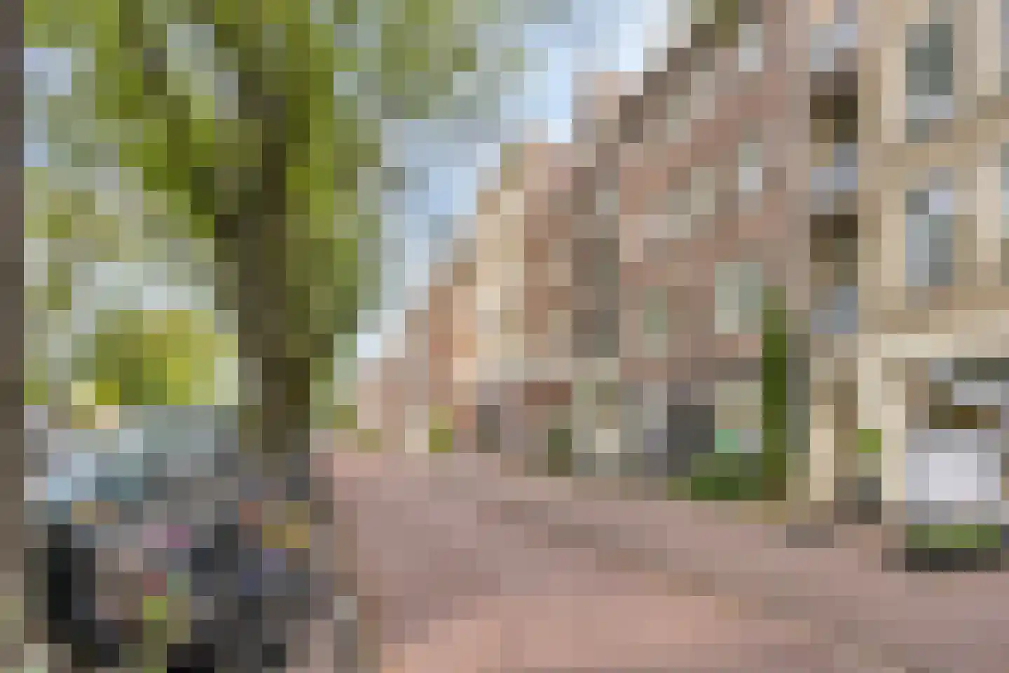 Wittenburgergracht 131 Amsterdam thumbnail 7