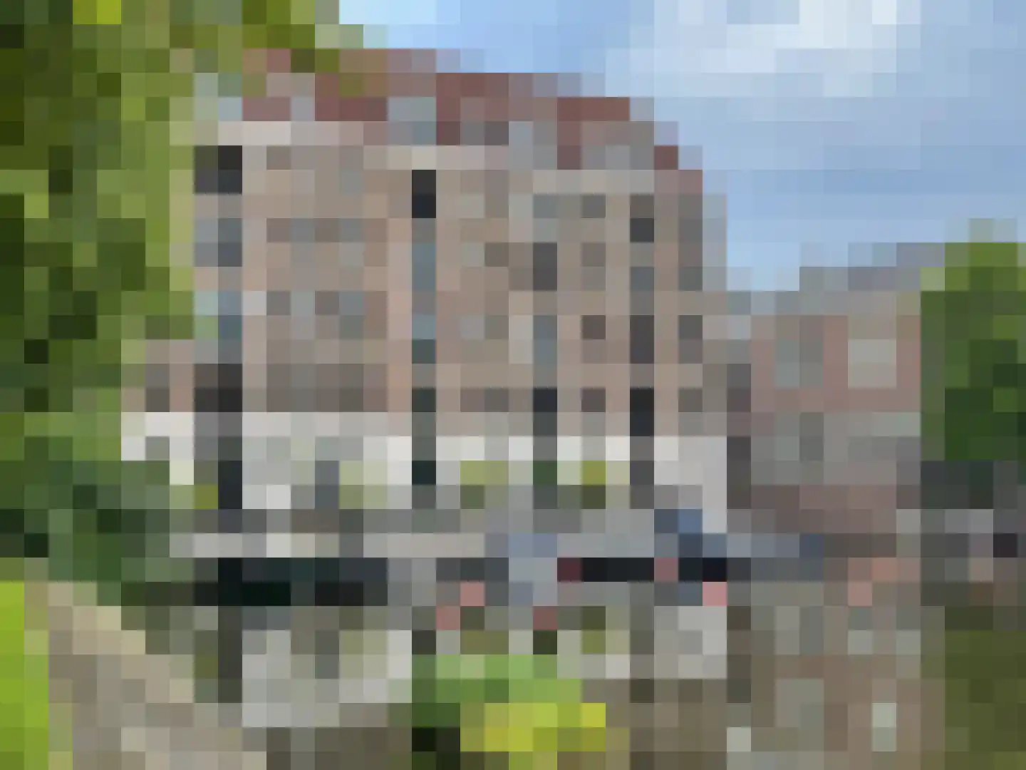 Wittenburgergracht 49 Amsterdam thumbnail 21