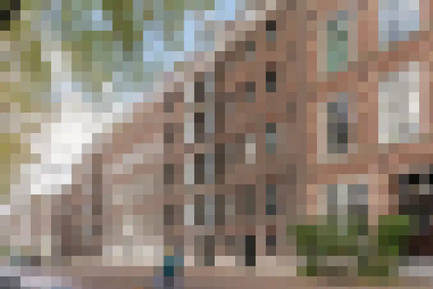 Wittenburgergracht 49 Amsterdam thumbnail 23