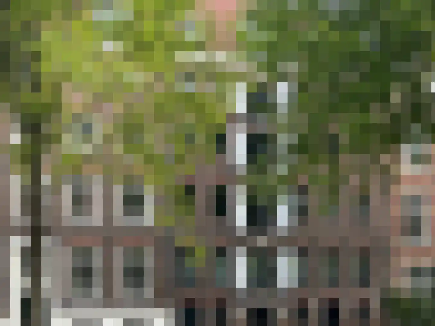 Wittenburgergracht 49 Amsterdam thumbnail 26
