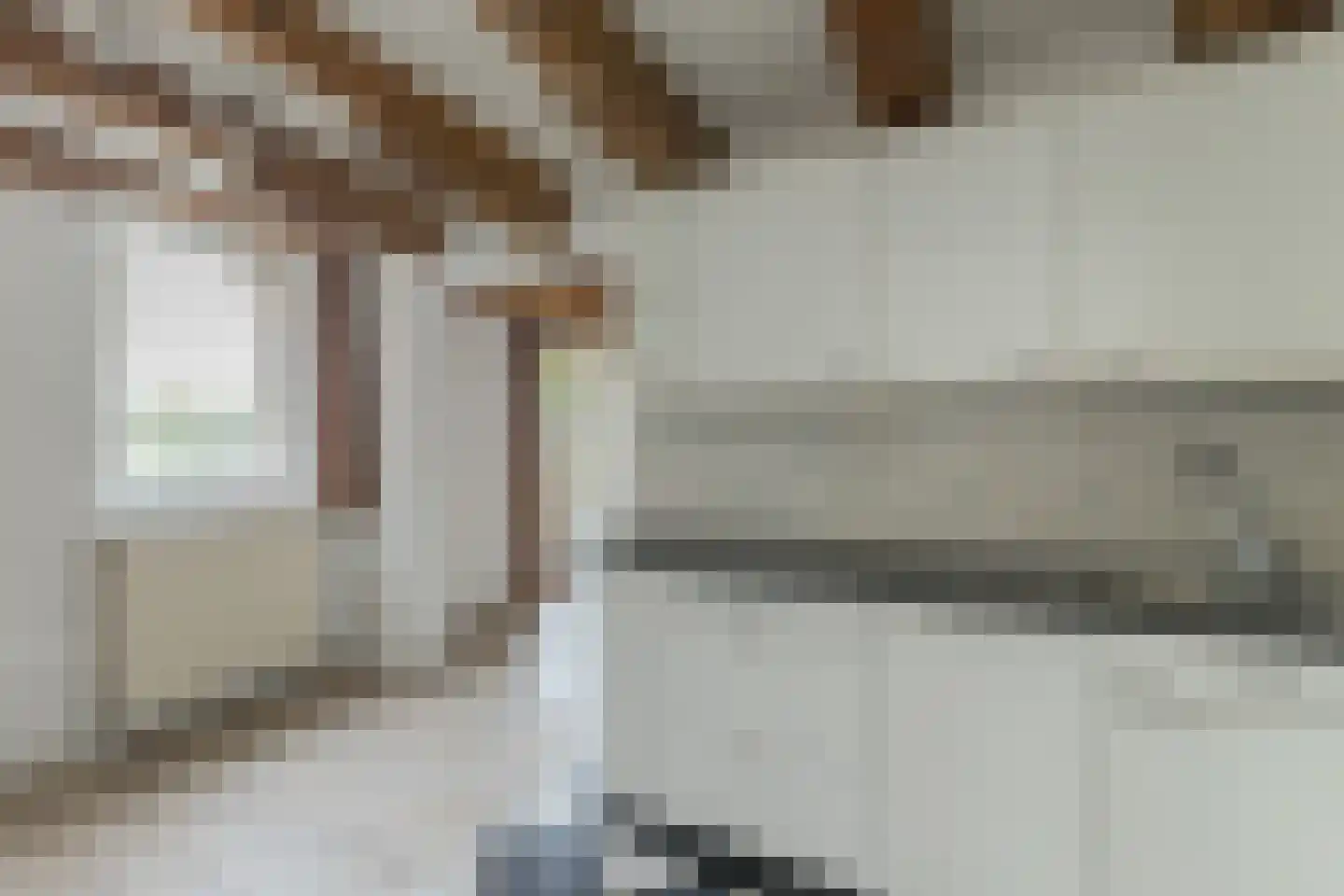 Wittenburgergracht 5 Amsterdam thumbnail 17