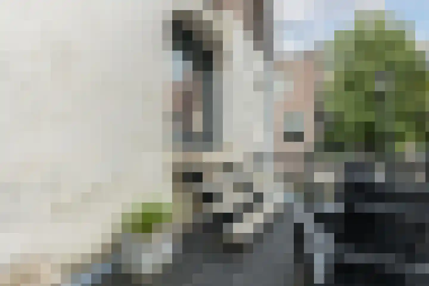 Wittenburgergracht 5 Amsterdam thumbnail 37