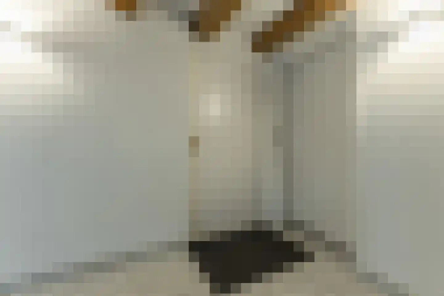 Wittenburgergracht 5 Amsterdam thumbnail 7