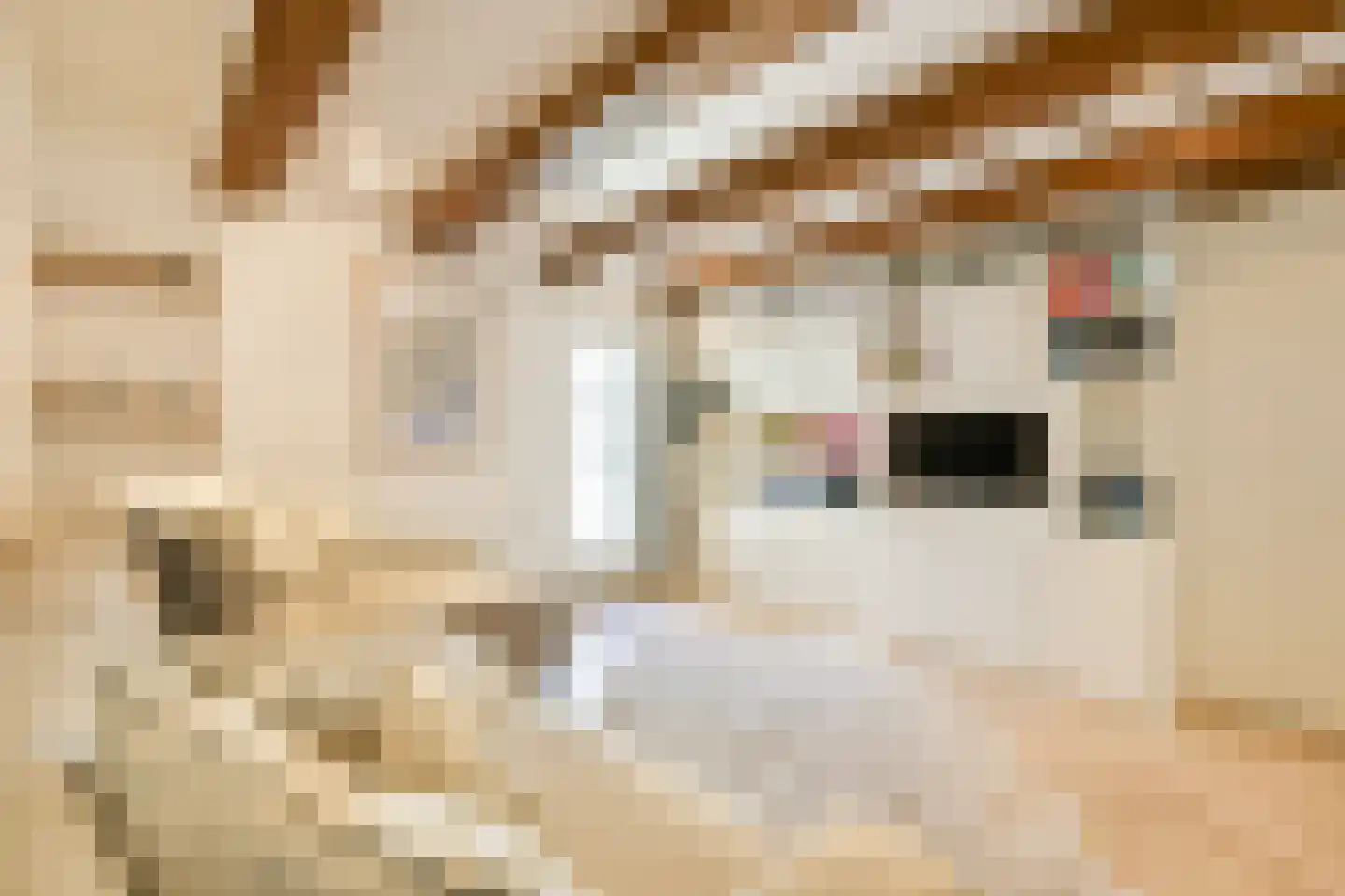 Wittenburgergracht 67 Amsterdam thumbnail 23