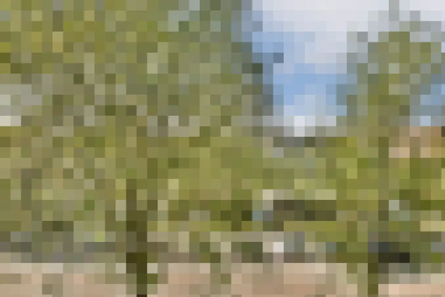 Wittenburgergracht 67 Amsterdam thumbnail 8
